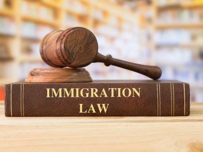 All-You-Need-to-Know-About-Immigration-Law